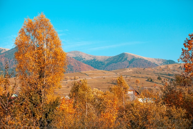 Otoño en las montañas Vista de las montañas en otoño Hermoso paisaje natural Montañas de los Cárpatos Bukovel Ucrania