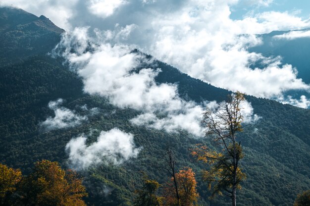 otoño en las montañas