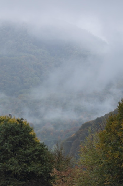 Otoño y niebla en las montañas foto vertical Papel tapiz fotográfico con vista a la montaña espacio para texto