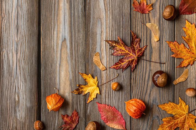 Foto otoño o composición de acción de gracias hecha de hojas de otoño flores nueces piñas sobre fondo de madera lay flat