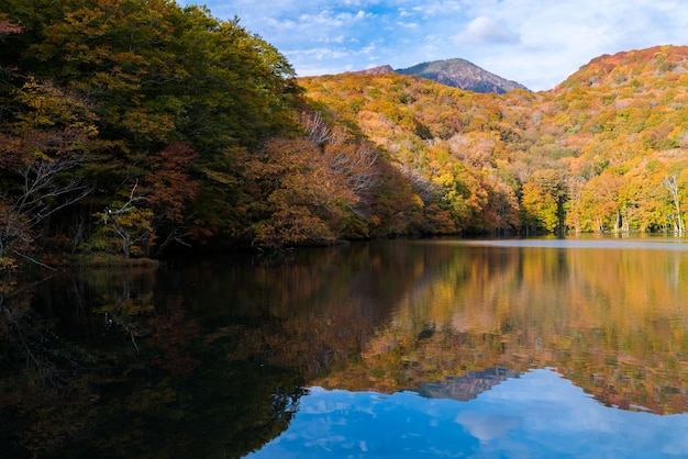 Otoño Otoño Lago Japón