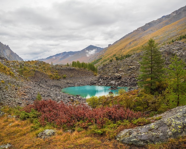 Otoño paisaje alpino con hermoso lago de montaña poco profundo con arroyos en el valle de las tierras altas de montañas más grandes bajo un cielo nublado. Rainy Middle Shavlin Lake en Altai.