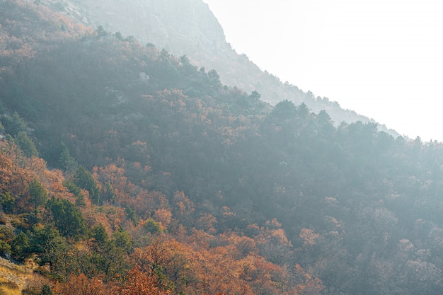 Otoño paisaje rural con montañas y bosques cubiertos de niebla matutina