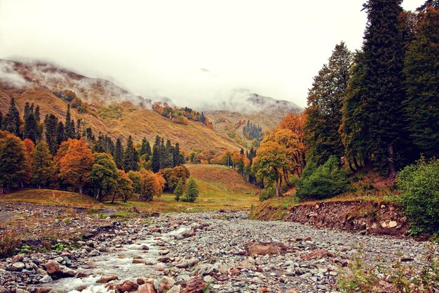 El otoño del paisaje