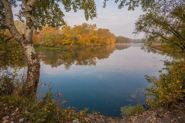 El otoño del paisaje