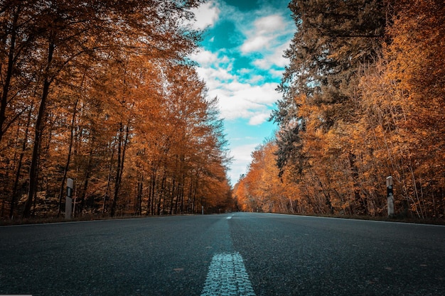 El otoño del paisaje