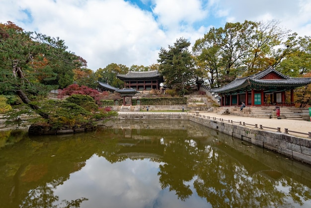 Otoño en el Palacio Changdeokgung en Corea del Sur