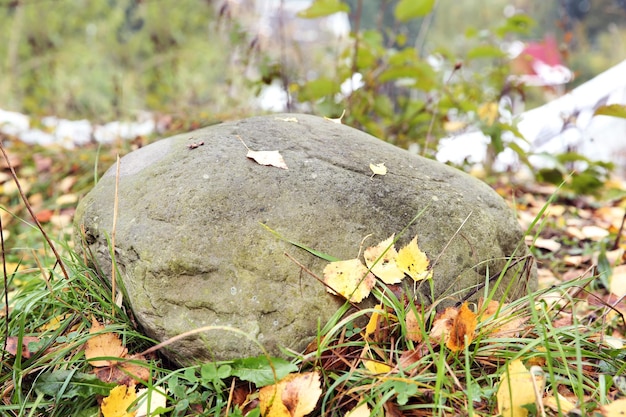 Otoño Park