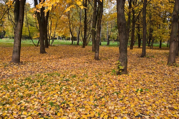 Otoño Park