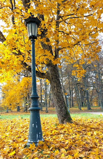 Otoño Park