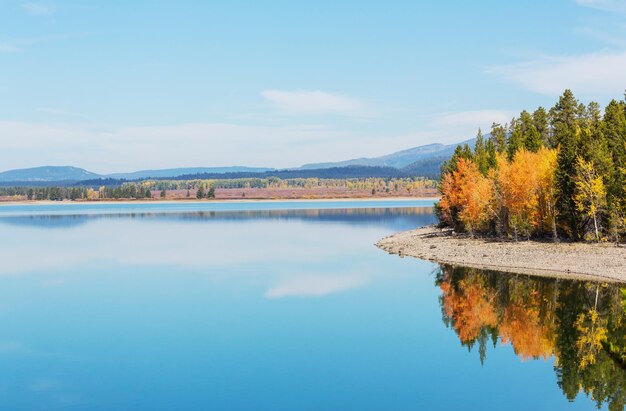 Otoño en el Parque Nacional Grand Teton, Wyoming