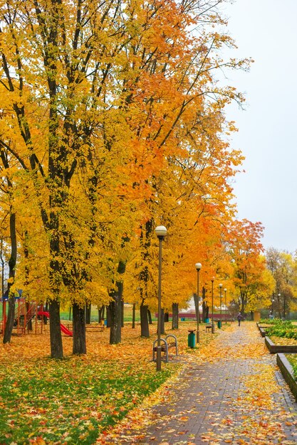 Otoño en el parque. Árboles con hojas de colores