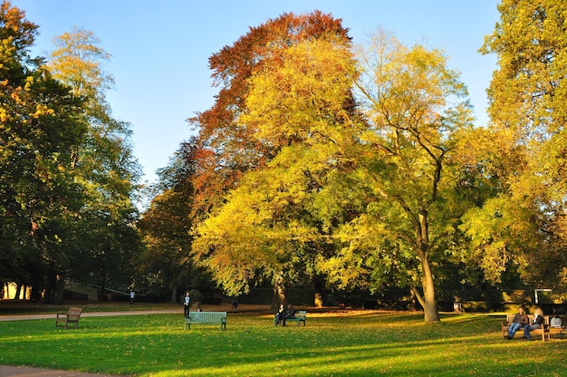 Otoño en el parque Stadtschloss en Fulda Hessen Alemania