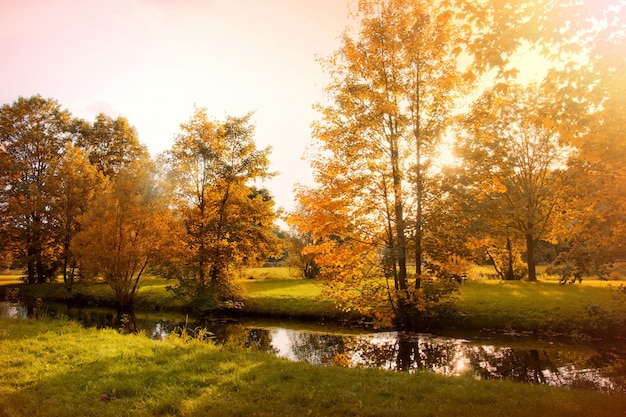 Foto otoño en el parque