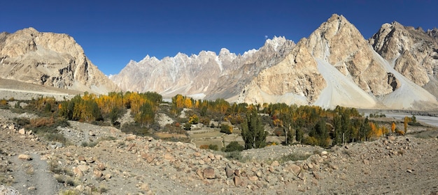 Otoño en Passu muestra un cielo azul claro y álamos rodeados de montañas