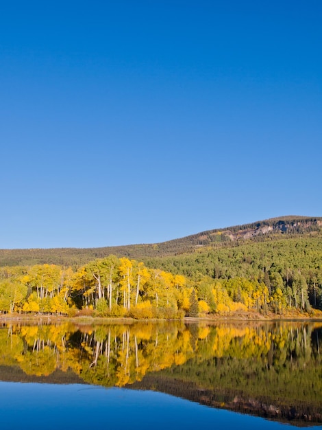 Otoño en perfecto reflejo de Woods Lake, Colorado.