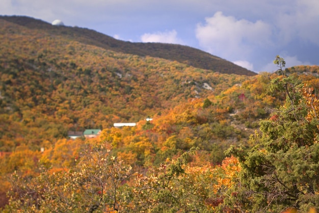 Otoño pintó un manto de bosque en las cadenas montañosas de la costa del Mar Negro con colores dorados Myskhako Novorossiysk Rusia