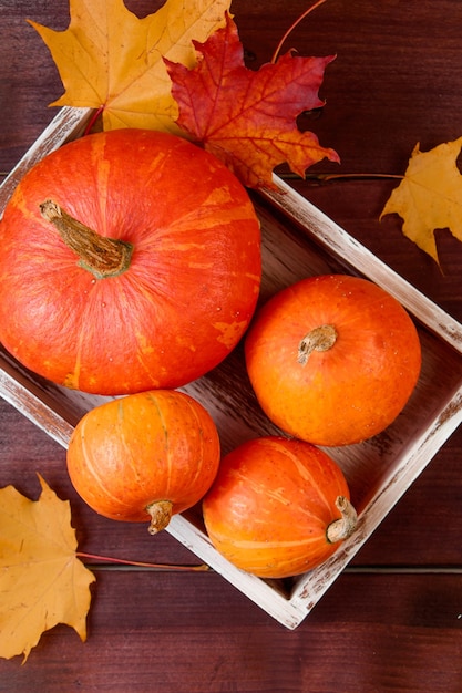 Otoño plano pone Calabazas maduras y hojas amarillas en caja de madera Concepto de cosecha y acción de gracias Celebraciones de Halloween