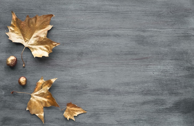 Otoño plano yacía con hojas doradas pintadas y espacio de copia en madera gris, espacio de copia