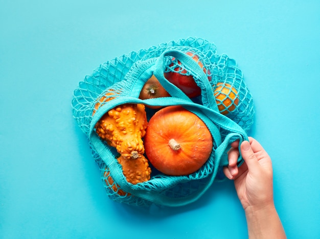 Otoño plano yacía con mano femenina sosteniendo una bolsa de hilo turquesa con calabazas naranjas sobre papel azul menta