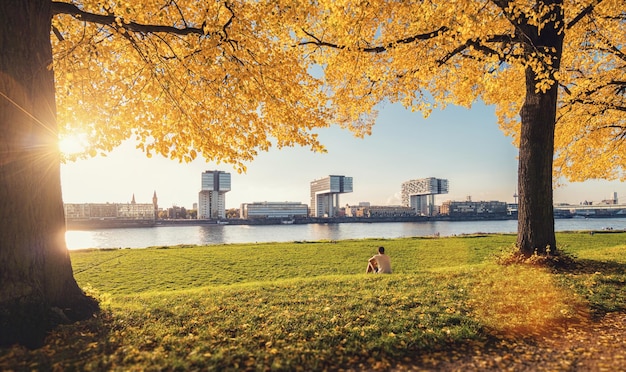 Otoño el poller Meadow en Colonia Alemania en la orilla del Rin