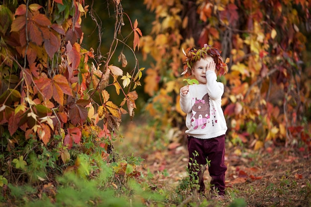 Otoño retrato de niña. Niña bonita con hojas de parra roja en el parque de otoño. Actividades de otoño para niños. Diversión de Halloween y Acción de Gracias para la familia.