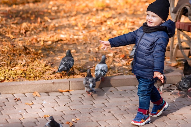 Otoño retrato de niño camina en el parque entre las palomas