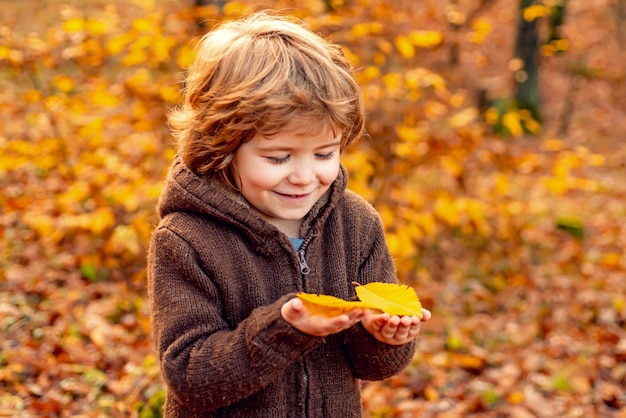 Otoño retrato de niño lindo niños felices jugando y sueños al aire libre en otoño