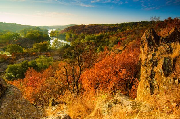 Otoño rural hermoso paisaje con río y árboles coloridos fondo estacional