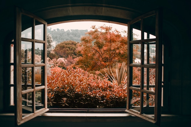 Foto otoño a través de una ventana vintage abierta