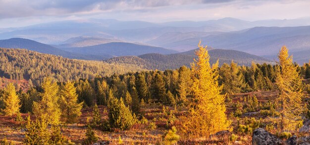 Otoño vista montaña paisaje montaña taiga mañana