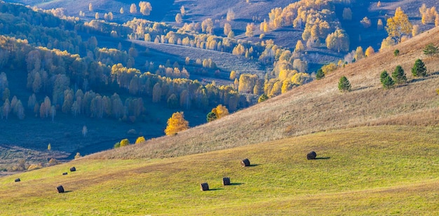 Otoño vista paisaje agrícola