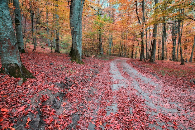 Otoño