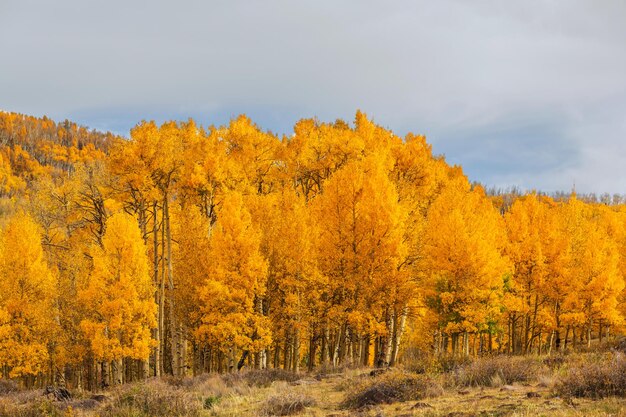 Otoño