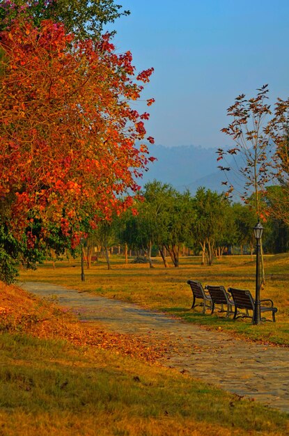 Otoño