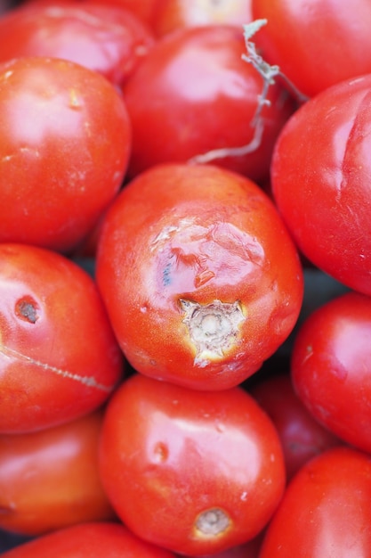 Foto otten tomate isoliert auf weißem hintergrund