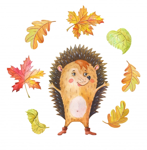 Ouriço em aquarela e queda de folhas de outono. Animal da floresta de um desenho animado em um fundo branco.