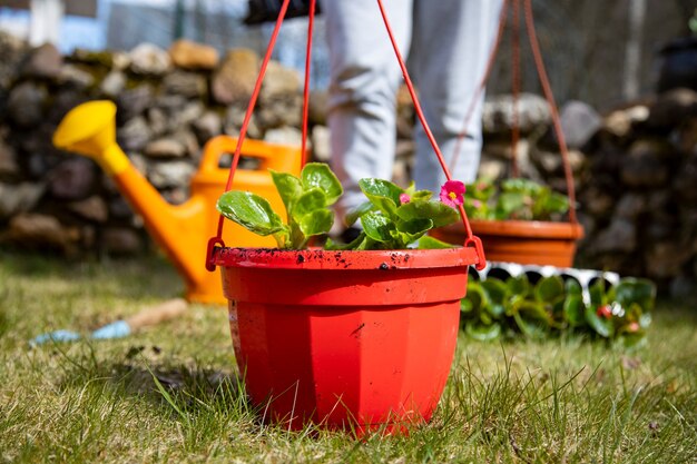 Outdoor Hängetopf steht auf dem Rasen gepflegtes Gartenkonzept