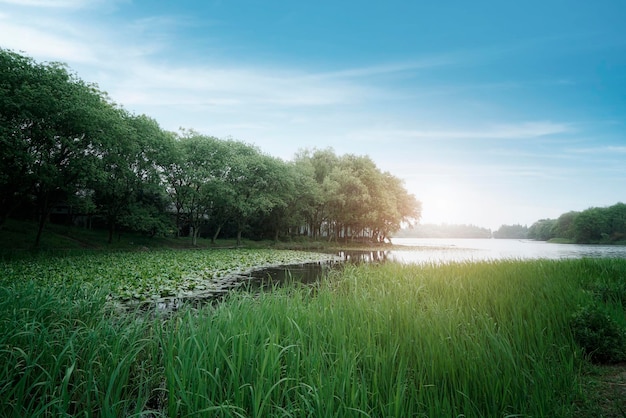 Outdoor-Landschaftsgarten See Naturlandschaft