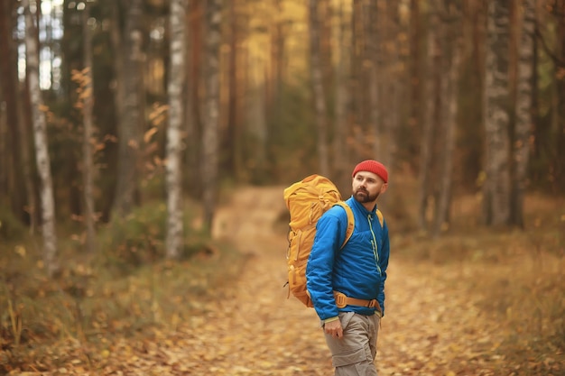 outono acampando na floresta, um viajante masculino está andando pela floresta, paisagem de folhas amarelas em outubro.