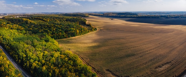 Outono aéreo panorâmica zangão campo milho e floresta