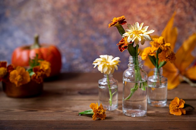 Outono ainda vida com flores abóboras e folhas de laranja Flores frescas de jardim em vasos de vidro Conceito abstrato de cena de outono