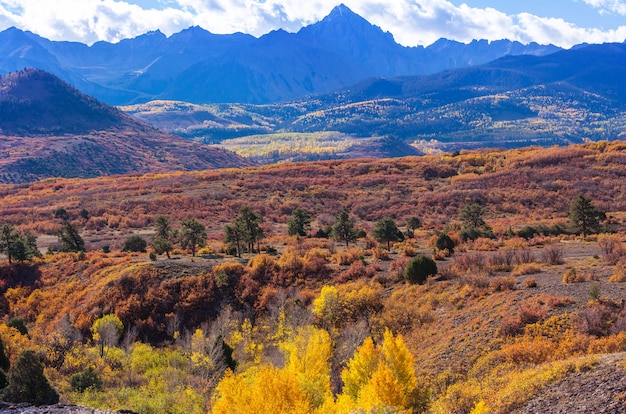 Outono amarelo colorido no colorado, estados unidos. outono.