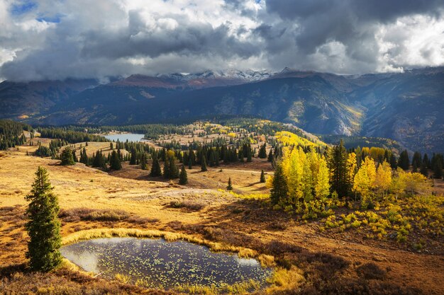 Outono amarelo colorido no Colorado, Estados Unidos. Outono.