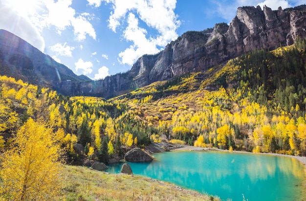 Outono amarelo colorido no Colorado, Estados Unidos. Outono.