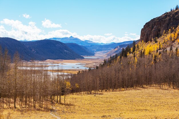 Outono amarelo colorido no Colorado, Estados Unidos. Outono.