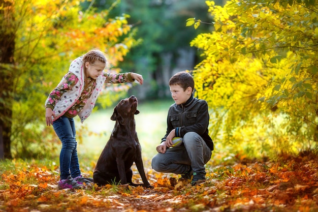 Outono, as crianças brincam com cachorro no outono Park