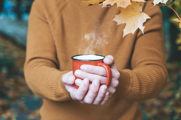 Outono beber chá ou café nas mãos no fundo do amarelo de outubro folhas outono conforto e mo ...