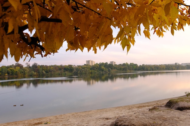 Outono cai no parque com folhas amarelas, árvores e lago