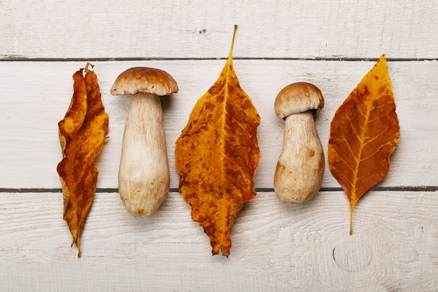 Foto outono cogumelos comestíveis porcini, folhas secas na mesa